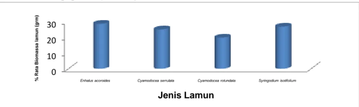 Gambar  3.  %  Berat  Rata-rata  Biomassa  Jenis  Lamun  (Grm)  dari  Berat    Total  Biomssa  Lamun  sebesar 46633.146 Gram 