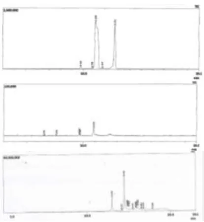 Gambar 6. Spektrum GC-MS (a) silika, (b) silika modifikasi, (c) amobilat.  