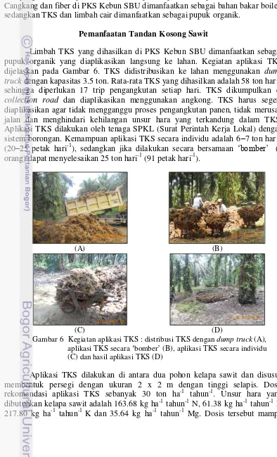 Gambar 6  Kegiatan aplikasi TKS : distribusi TKS dengan dump truck (A), 