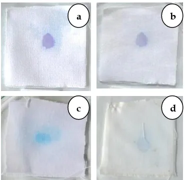 Gambar 3.Degradasi metilen biru setelah disinari selama 9 jam, a-b. Katun murni, c-d. Katun terlapisi TiO2-SiO2 (1:1)  