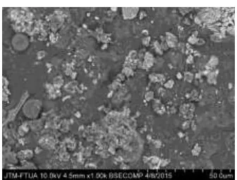 Gambar 7. Morfologi bioplastik (10 gram pati-20% gliserol)  