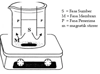 Gambar 1. Model Percobaan Transpor Senyawa Organik Melalui Teknik Membran Cair Fasa Ruah 