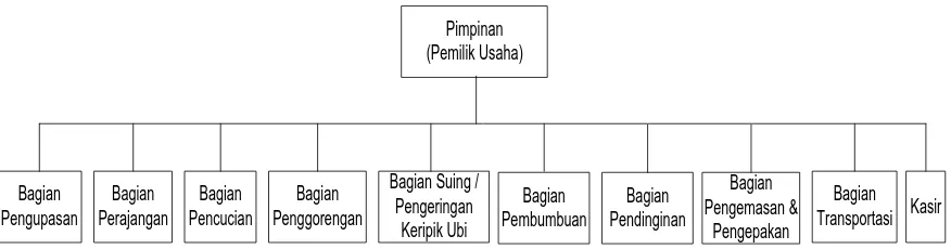 Gambar 2.1. Struktur Organisasi UD. Tiga Bawang 