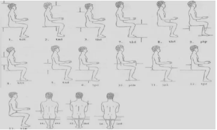 Tabel 3.2. Dimensi Anthropometri dalam posisi duduk 