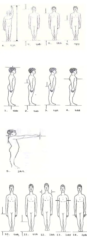 Gambar 3.2 dan tabel untuk dimensi tubuh manusia dalam posisi berdiri dapat 