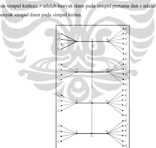 Gambar 3.5 Penamaan simpul dan busur pada graf lobster L n (2;r, s) 