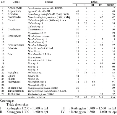 Tabel 3. Sebaran spesies anggrek tanah pada ketinggian 1.200 – 1.600 m dpl 