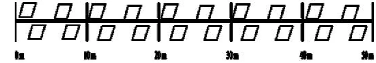 Gambar 6  Transek kuadrat diletakkan sepanjang transek garis. 