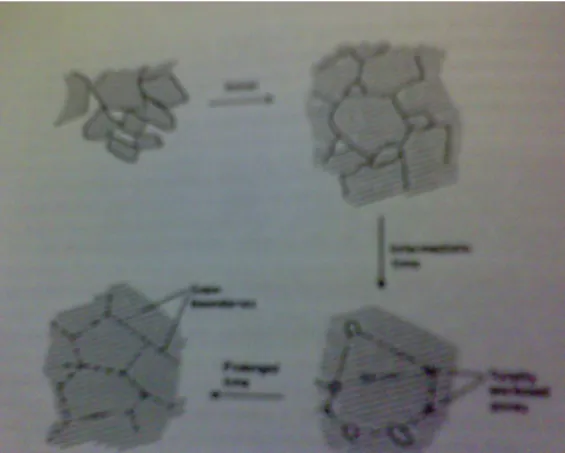 Gambar 2 proses terjadinya sintering (Hughes, 1984) KESIMPULAN 