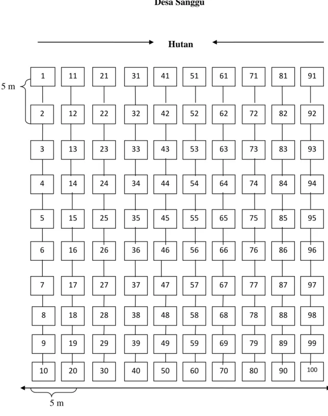 Gambar 3.1 Denah penataan plot penelitian 