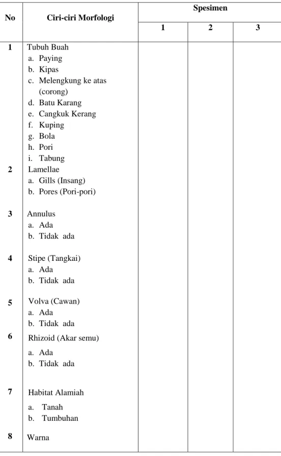 Tabel 3.1 Ciri-ciri Morfologi Jamur Kelas Basidiomycetes  No  Ciri-ciri Morfologi  Spesimen  1 2  3  1  2  3  4  5  6  7  8  Tubuh Buah a