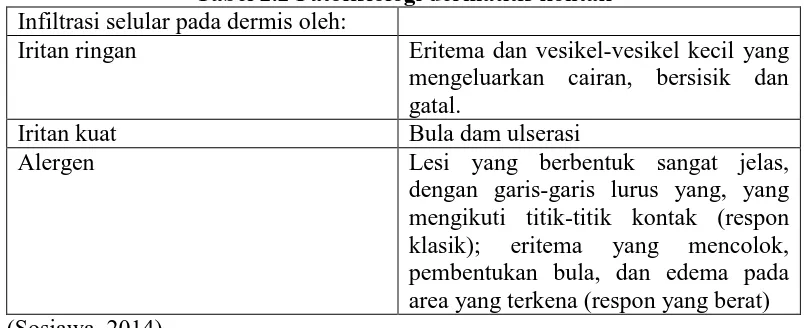 Tabel 2.2 Patofisiologi dermatitis kontak  Eritema dan vesikel-vesikel kecil yang 
