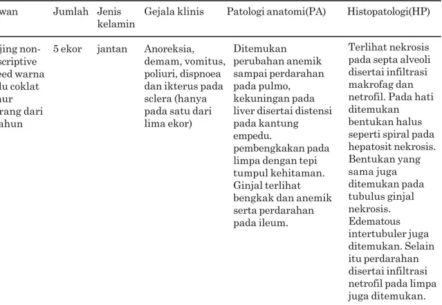 Tabel 1.  Data tentang hewan, gejala klinis, perubahan patologi anatomi dan histopatologi Hewan Jumlah Jenis Gejala klinis Patologi anatomi(PA) Histopatologi(HP)
