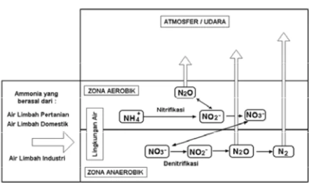 Gambar 1. Siklus nitrogen diperairan  ( 2 ) . 