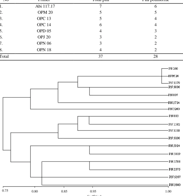 Tabel 2. Jumlah pita DNA yang teramplifikasi dari delapan primer yang digunakan. 