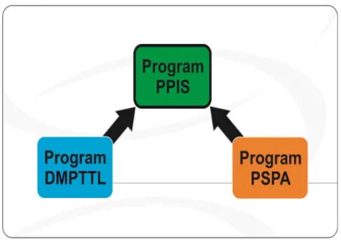 Gambar  3-3  Hubungan  antara  program  teknis   (PPIS)  dengan  program generik  (DMPTTL, PSPA,  dan   PPAA)