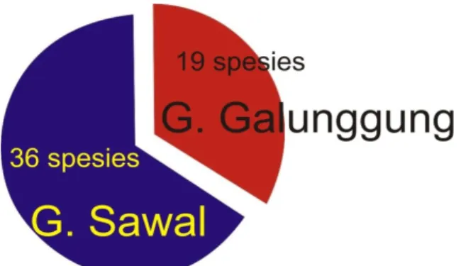 Gambar  2.  Per bandingan  jumlah  spesies  moluska darat di G. Sawal dan  G. Galunggung