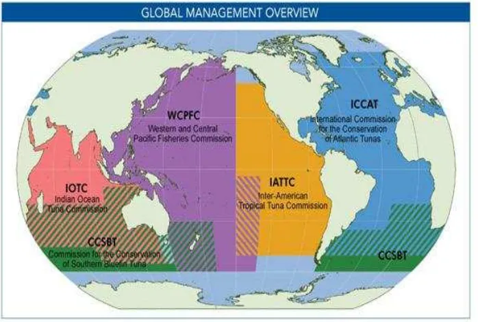 Gambar di sheets/2012/02/23/faq-what-is-a-regional-fishery-management-organizationatas diambil dari http://www.pewtrusts.org/en/research-and-analysis/fact- (23/01/2015 