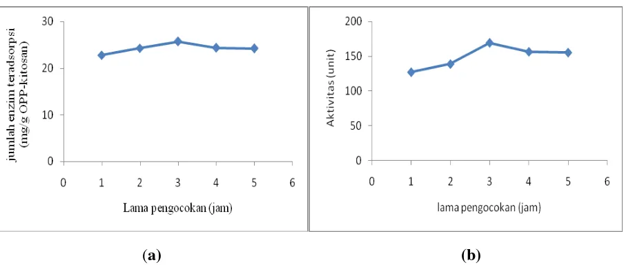 Gambar 1. (a) Hubungan antara lama pengocokan terhadap jumlah pektinase teradsorpsi (b) Hubungan antara lama pengocokan terhadap aktivitas pektinase amobil