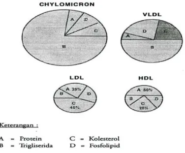 Gambar 2.1 Kolesterol 