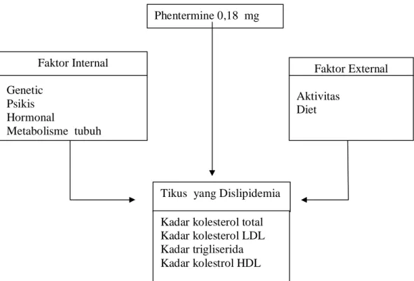 Gambar 3.1 Kerangka konsep Faktor Internal Genetic Psikis Hormonal Metabolisme  tubuh  Faktor External Aktivitas Diet  Phentermine 0,18  mg 