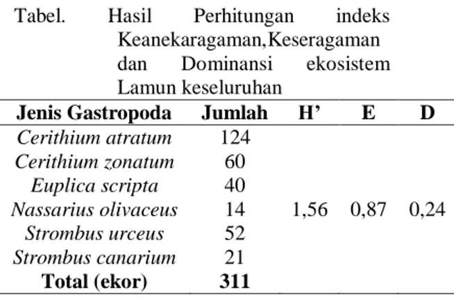 Tabel :  Hasil  Pengamatan  Gastropoda  pada  Ekosistem Lamun 