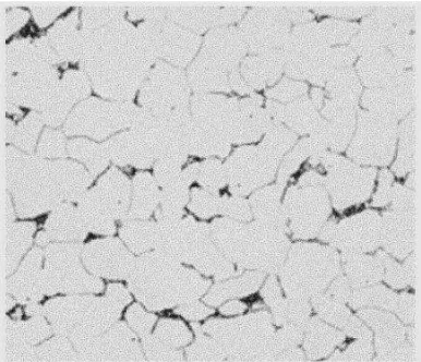 Gambar 2.6 Struktur mikro baja karbon rendah [14] 