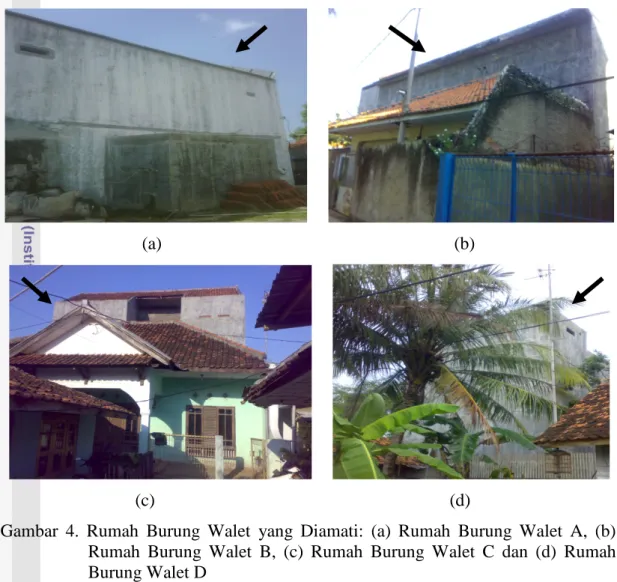 Gambar  4. Rumah Burung Walet yang Diamati:  (a) Rumah Burung Walet  A, (b)  Rumah  Burung Walet  B, (c) Rumah Burung Walet  C  dan  (d) Rumah  Burung Walet D 