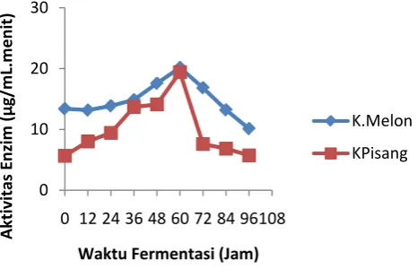 Gambar 1. Grafik Aktivitas Xilanase dari Trichoderma viride dengan Substrat Kulit Melon 