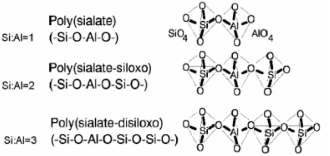 Gambar 2.1 Struktur Kimia dari Polisialat (S. Wallah ; B. 