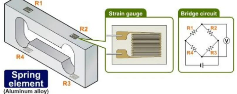 Gambar 2.3 Strain gauge dalam sensor load cell 