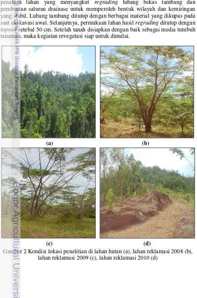 Gambar 2 Kondisi lokasi penelitian di lahan hutan (a), lahan reklamasi 2008 (b), 