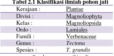 Tabel 2.1 Klasifikasi ilmiah pohon jati 