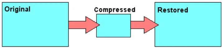 Gambar 2.3 Teknik Kompresi Lossy (Pu, 2006) 