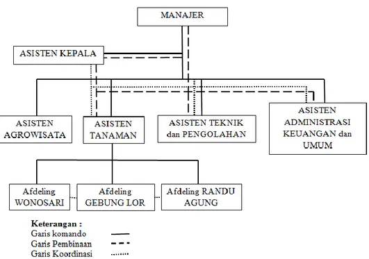 Gambar 2.3.1 Struktur Organisasi PT. Perkebunan Nusantara XII Kebun  Wonosari 