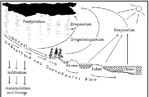 Gambar 1. Siklus hidrologi: Pentingnya hujan dalam siklus hidrologi 