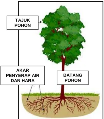 Gambar 4. Sistem perakaran pohon memainkan fungsi sangat  vital (sumber: snwa.com) 