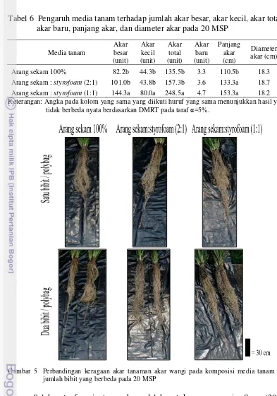 Tabel 6  Pengaruh media tanam terhadap jumlah akar besar, akar kecil, akar total,  akar baru, panjang akar, dan diameter akar pada 20 MSP 