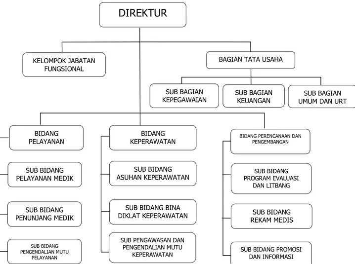 Gambar 1. Struktur Organisasi RSUD Provinsi Sulawesi Barat 