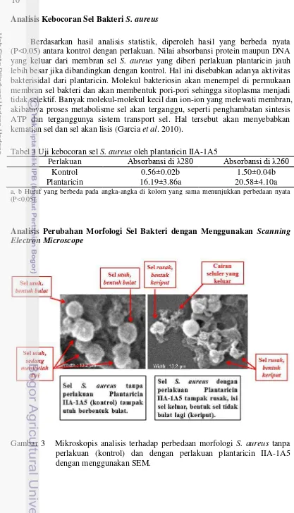 Tabel 3 Uji kebocoran sel S. aureus oleh plantaricin IIA-1A5 