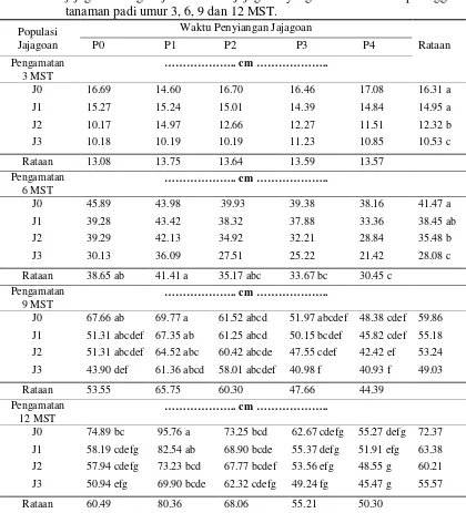 Tabel 2.   Pengaruh waktu penyiangan dan populasi jajagoan dengan jarak tanam jajagoan yang berbeda serta kombinasi waktu penyiangan dan populasi jajagoan dengan jarak tanam jajagoan yang berbeda terhadap tinggi tanaman padi umur 3, 6, 9 dan 12 MST