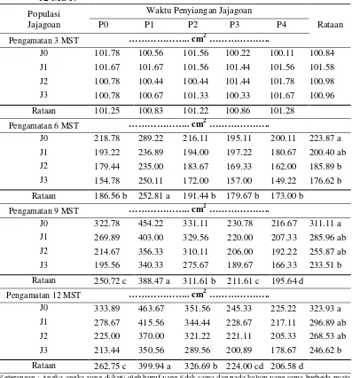Tabel 3.  Pengaruh waktu penyiangan dan populasi jajagoan dengan jarak tanam   jajagoan yang berbeda terhadap luas daun tanaman padi umur 3, 6, 9 dan 12 MST