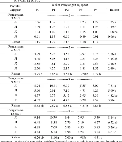 Tabel 5.  Pengaruh waktu penyiangan dan populasi jajagoan dengan jarak tanam jajagoan yang berbeda terhadap bobot kering akar tanaman padi umur 3, 6, 9 dan 12 MST