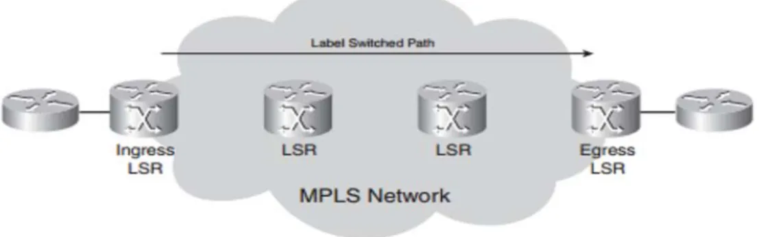 Gambar 2.11 LSP Melalui Sebuah Jaringan MPLS 