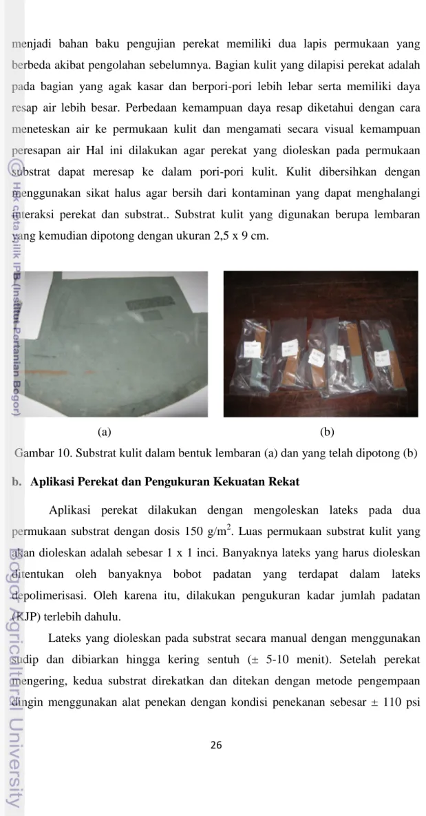 Gambar 10. Substrat kulit dalam bentuk lembaran (a) dan yang telah dipotong (b)   b.  Aplikasi Perekat dan Pengukuran Kekuatan Rekat 