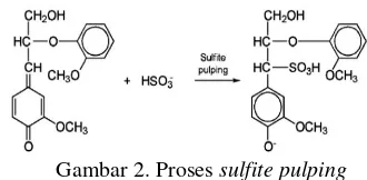 Gambar 2. Proses sulfite pulping 