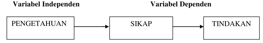 Gambar 2.1. Kerangka Konsep 