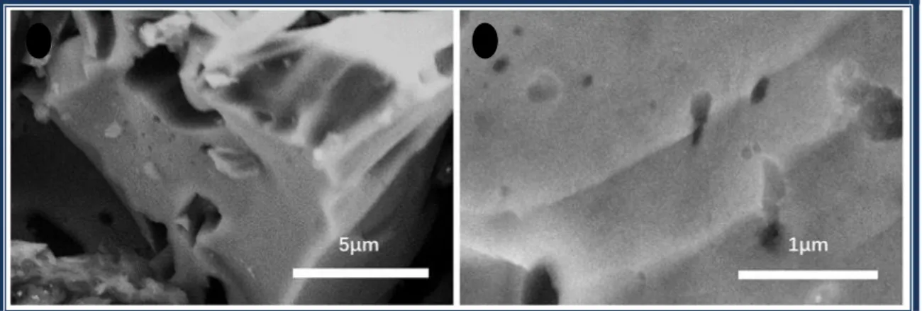 Gambar 4. Mikrofotogram SEM arang tempurung biji jambu mete yang telah dipirolisis pada  suhu 600°C 