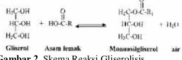 Gambar 2. Skema Reaksi Gliserolisistersebut adalah dengan menggunakan(pelarut).meningkatkan kelarutan minyak dan gliseroldanketerbatasan transfer massa dari kedua reaktandapat teratasi