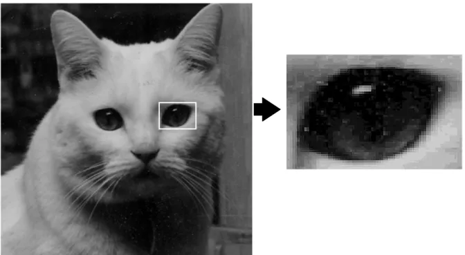 Gambar 1.4. Raster Graphics (kiri) Objek kucing dengan ukuran asli (kanan) Objek mata kucing yang  dibesarkan ukurannya (zooming) 